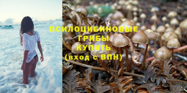 МДПВ Лихославль