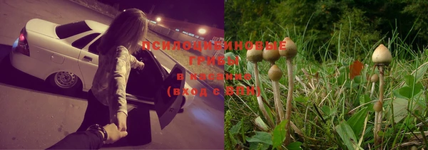 МДПВ Лихославль